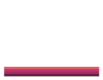 Hobart Social Skates Merch