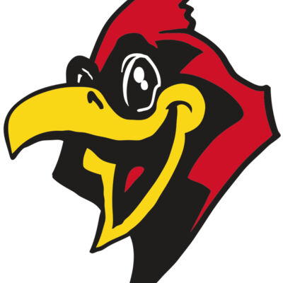 AR CARDINAL 36 RC Thumbnail