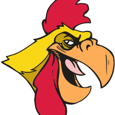 AR5 Gamecock 06 RQC Thumbnail