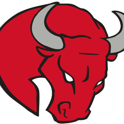 AR BULL 24 RC Thumbnail