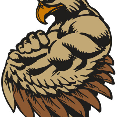 BAW HWK FLCN 02 RC Thumbnail