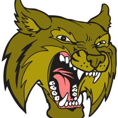 AR5 BOBCAT 20 RQC Thumbnail