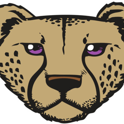 BAW CHEETAH 14 RC Thumbnail