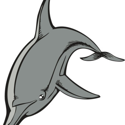 BAW DOLPHIN 03 RC Thumbnail