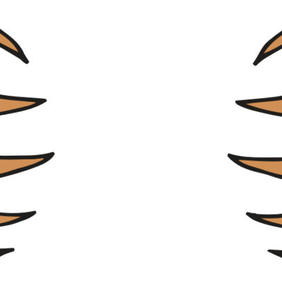 AR BEAR 05 RC Thumbnail