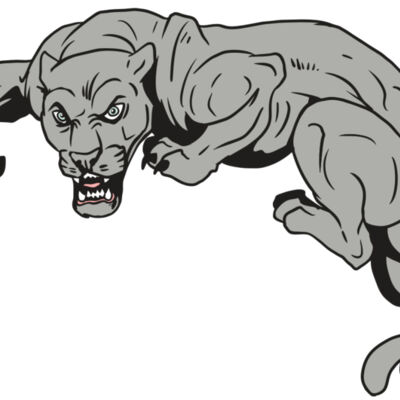 AR10 PANTHER 02 RQC Thumbnail