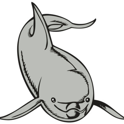 BAW DOLPHIN 02 RC Thumbnail