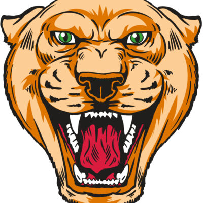 AR13 COUGAR 01 RQC Thumbnail