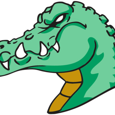 AR GATOR 31 RQC Thumbnail