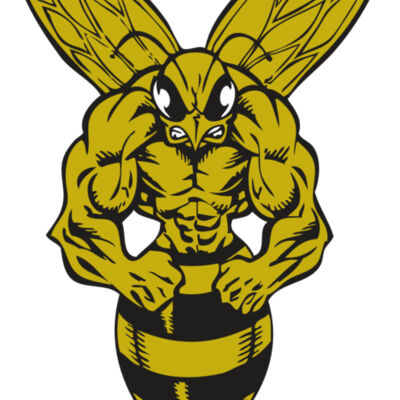 BAW BEE 06 RC Thumbnail