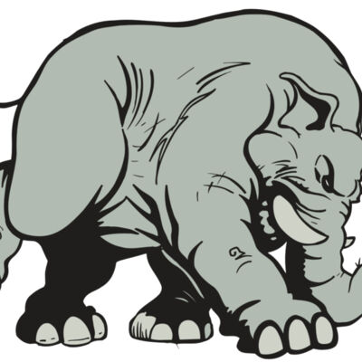 AR5 Elephant 08 RQC Thumbnail