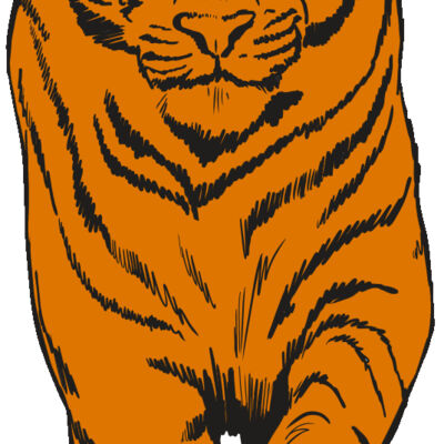 AR4 TIGER 08 RQC Thumbnail