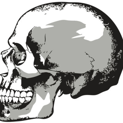 AR24 SKULL 02 RQC Thumbnail