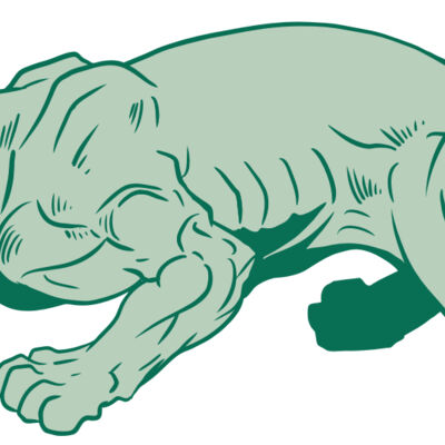 AR10 PANTHER 05 RQC Thumbnail