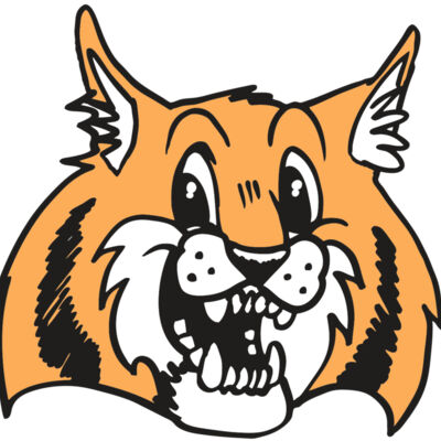 AR WILDCAT 13 RC Thumbnail