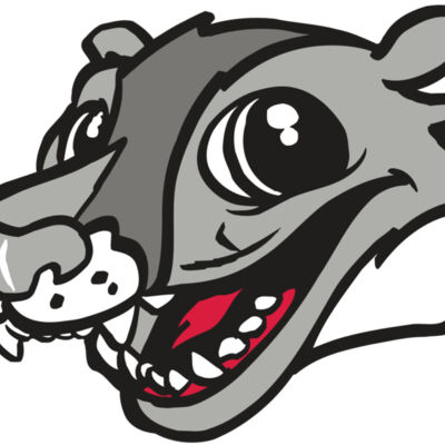 AR WOLVERINE 12 RC Thumbnail