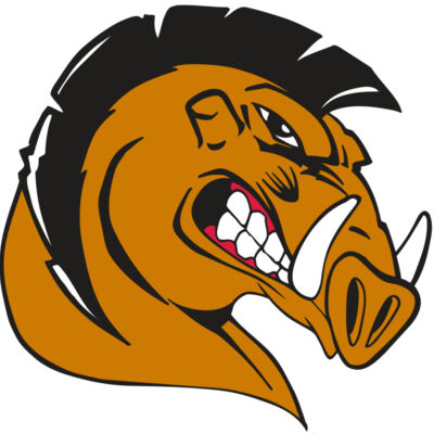 AR RAZORBACK 19 RC Thumbnail