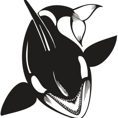 BAW KLRWHALE 01 RC Thumbnail