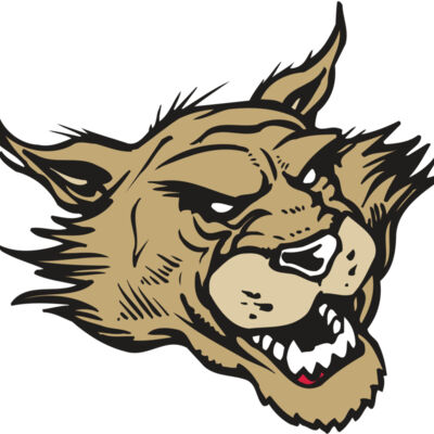 AR WILDCAT 39 RC Thumbnail