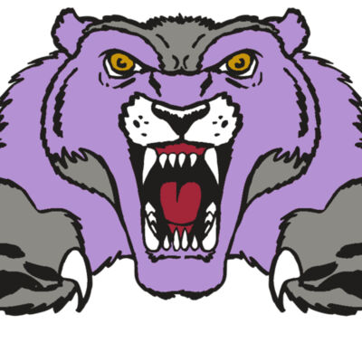 AR WOLVERINE 17 RC Thumbnail