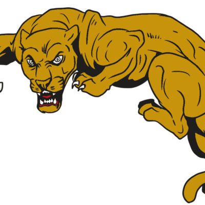 AR10 PANTHER 02 RQC Thumbnail