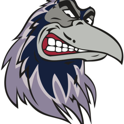 RAVEN HD0504 RQC Thumbnail