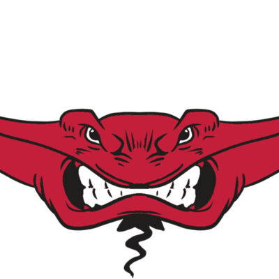 AR19 STINGRAY 03 RQC Thumbnail