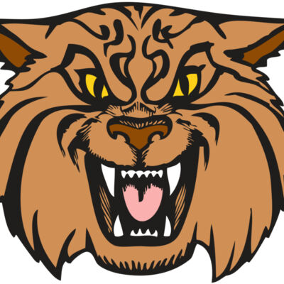 BAW WILDCAT 04 RC Thumbnail