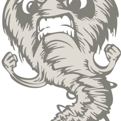 BAW STORM 07 RC Thumbnail