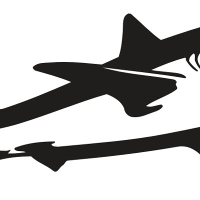 AR5 Shark 15 RQC Thumbnail