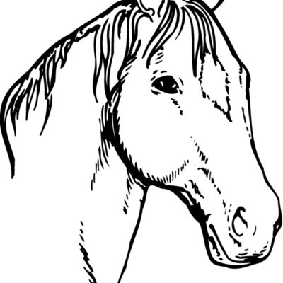HORSE008 Thumbnail